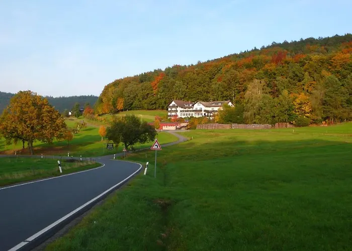 Gasthof-hotel Laermfeuer Rohrbach (Odenwald)
